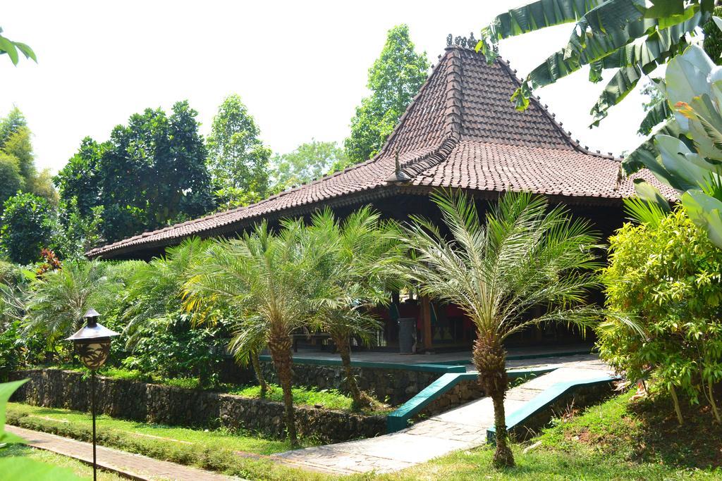 Agro Wisata Tlogo & Taman liburan
