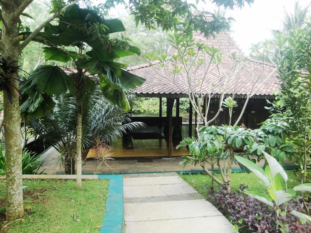 Agro Wisata Tlogo &